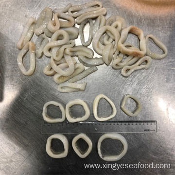 Frozen Squid Rings Dosidicus Gigas Squid Rings